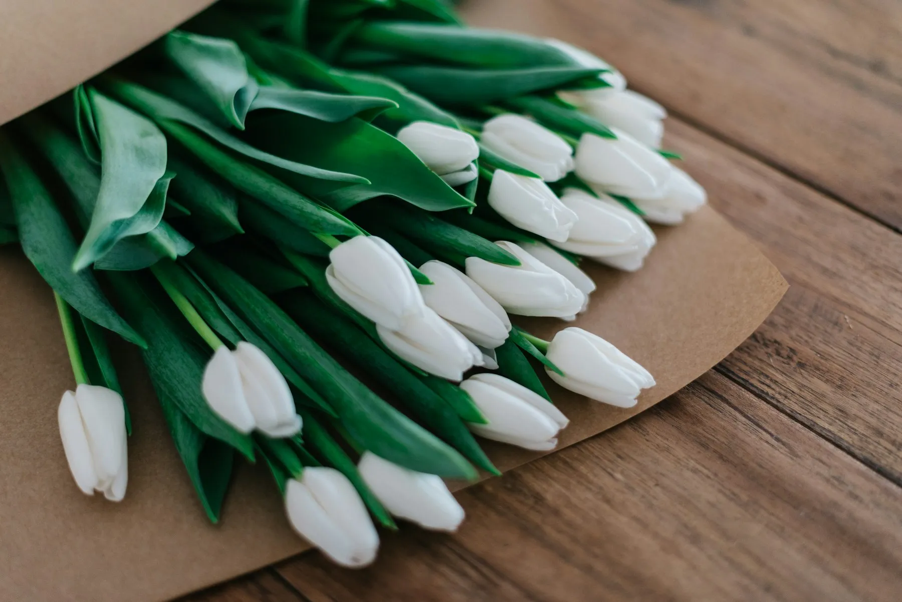 Weiße Tulpen auf einem Holztisch